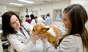 Bardsley estate benefits veterinary students
